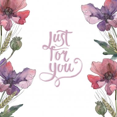 Kırmızı ve mor haşhaş çiçek botanik çiçekler. Suluboya arka plan illüstrasyon seti. Çerçeve kenarlık süs karesi.