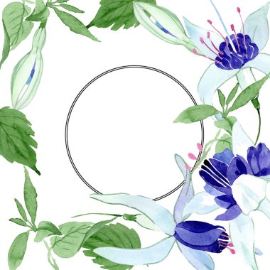 Mavi fuşya çiçek botanik çiçekleri. Suluboya arka plan illüstrasyon seti. Çerçeve kenarlık süs karesi.