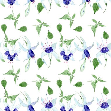 Mavi fuşya çiçek botanik çiçekleri. Suluboya arka plan illüstrasyon seti. Kesintisiz arka plan deseni.
