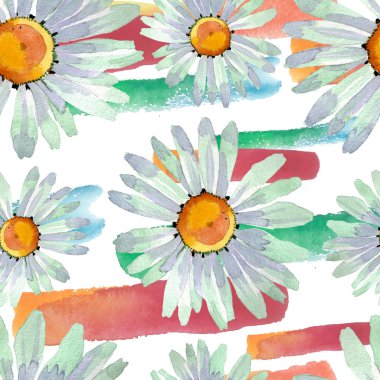 Büyük beyaz papatya çiçek botanik çiçekler. Suluboya arka plan illüstrasyon seti. Kesintisiz arka plan deseni.