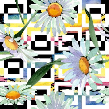 Büyük beyaz papatya çiçek botanik çiçekler. Suluboya arka plan illüstrasyon seti. Kesintisiz arka plan deseni.