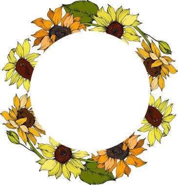 Vektör Ayçiçeği çiçek botanik çiçekler. Sarı ve yeşil oyulmuş mürekkep sanatı. Çerçeve kenarlık süs karesi.