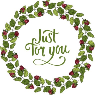 Vektör Ahududu sağlıklı gıda izole. Kırmızı ve yeşil kazınmış mürekkep sanatı. Çerçeve kenarlık süs karesi.