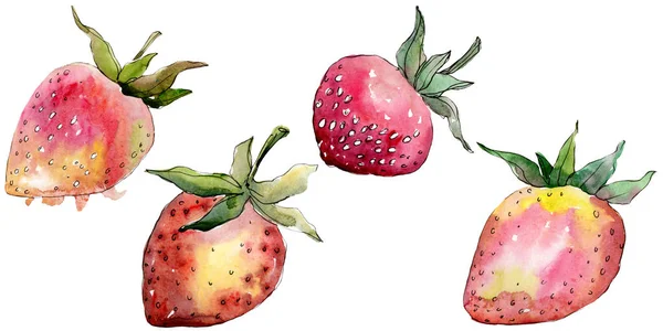 수채화 스타일의 딸기 건강 식품이 고립되어 있습니다. 수채화 배경 세트입니다. 절연 베리 일러스트 요소. — 스톡 사진