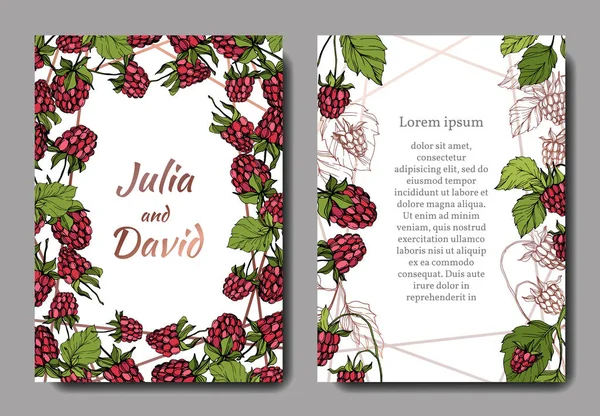 Vecteur Framboise alimentation saine. Encre gravée rouge et verte. Carte de fond de mariage bordure décorative florale . — Image vectorielle
