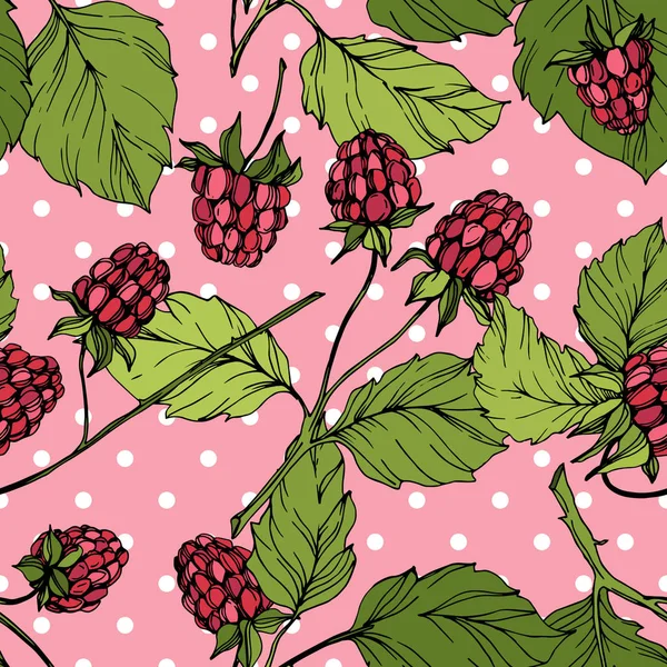 Vector Raspberry alimentos saludables aislados. Tinta grabada roja y verde. Patrón de fondo sin costuras . — Vector de stock