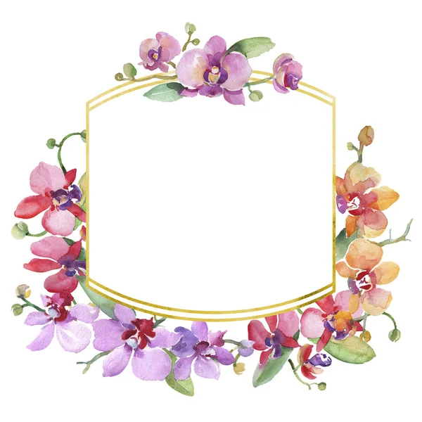 Bouquets do Orchid flores botânicas florais. Conjunto de ilustração de fundo aquarela. Quadro borda ornamento quadrado . — Fotografia de Stock