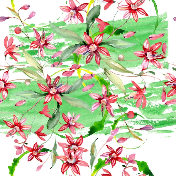 Букет красных цветочных ботанических цветов. Набор акварельных фонов. Бесшовный рисунок фона . — стоковое фото