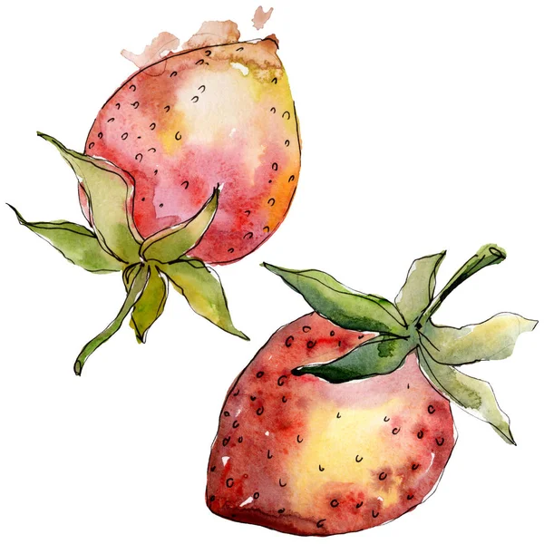 Φράουλα υγιεινό φαγητό σε στυλ υδατογραφίας απομονωμένο. Σετ Υδατογραφία. Μεμονωμένο στοιχείο απεικόνισης μούρων. — Φωτογραφία Αρχείου