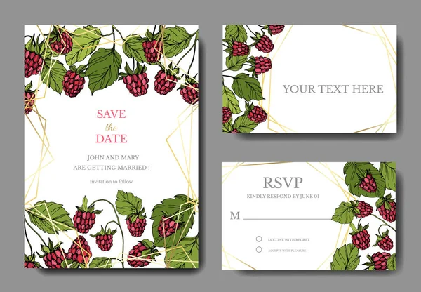 Vector Framboesa comida saudável. Tinta vermelha e verde gravada arte. Casamento cartão de fundo floral borda decorativa . — Vetor de Stock