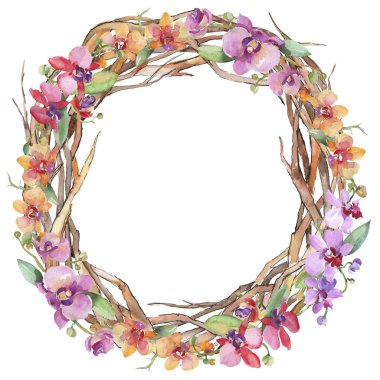 Orkide buketleri çiçek botanik çiçekler. Suluboya arka plan illüstrasyon seti. Çerçeve kenarlık süs karesi.