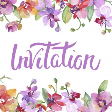 Orkide buketleri çiçek botanik çiçekler. Suluboya arka plan illüstrasyon seti. Çerçeve kenarlık süs karesi.