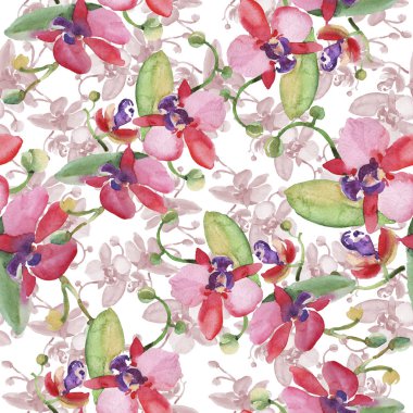 Orkide buketleri çiçek botanik çiçekler. Suluboya arka plan illüstrasyon seti. Kesintisiz arka plan deseni.