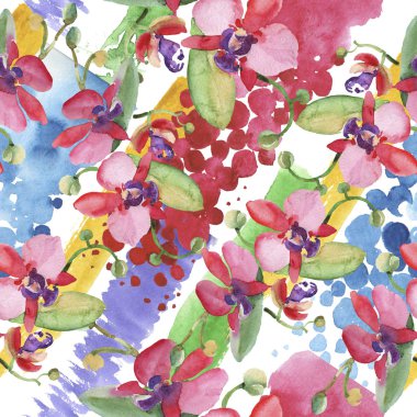 Orkide buketleri çiçek botanik çiçekler. Suluboya arka plan illüstrasyon seti. Kesintisiz arka plan deseni.