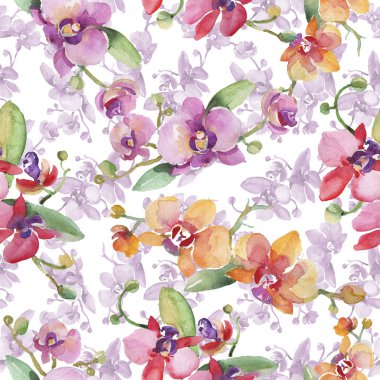 Orkide buketleri çiçek botanik çiçekler. Suluboya arka plan illüstrasyon seti. Kesintisiz arka plan deseni.