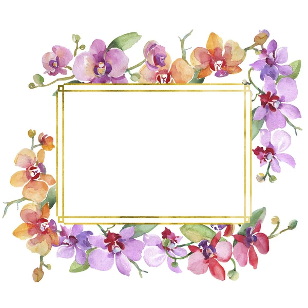 Ramos de orquídeas flores botánicas florales. Conjunto de ilustración de fondo acuarela. Marco borde ornamento cuadrado . —  Fotos de Stock