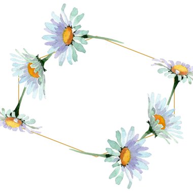 Büyük beyaz papatya çiçek botanik çiçekler. Suluboya arka plan illüstrasyon seti. Çerçeve kenarlık süs karesi.