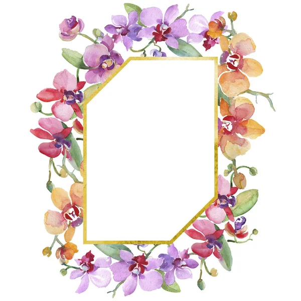 Mazzi di fiori del Orchid fiori botanici floreali. Acquerello sfondo illustrazione set. Quadrato ornamento bordo cornice . — Foto Stock