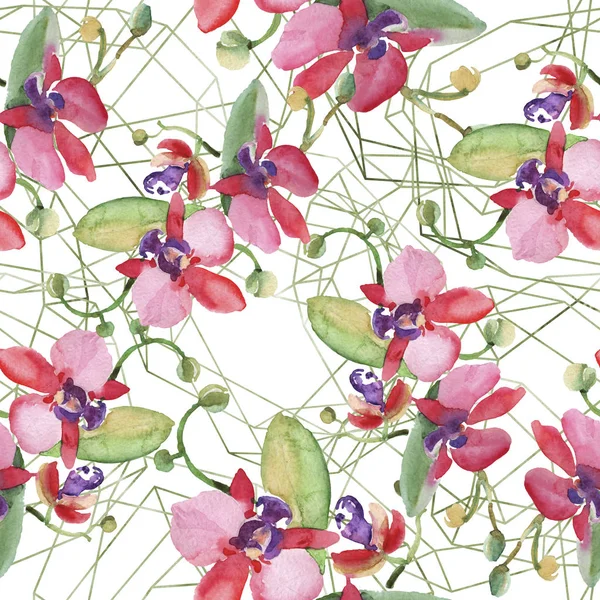 Ramos de orquídeas flores botánicas florales. Conjunto de ilustración de fondo acuarela. Patrón de fondo sin costuras . — Foto de Stock