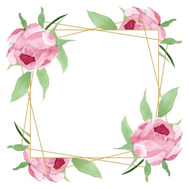 Koyu kırmızı şakayık çiçek botanik çiçekler. Suluboya arka plan illüstrasyon seti. Çerçeve kenarlık süs karesi.