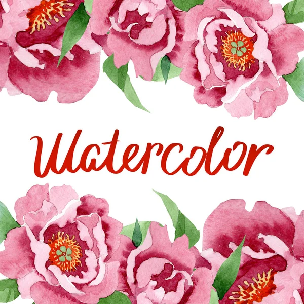 Fleurs botaniques florales pivoine rouge foncé. Ensemble d'illustration de fond aquarelle. Cadre bordure ornement carré . — Photo