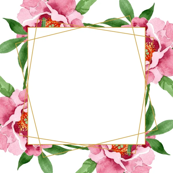 Fiori botanici floreali di peonia rosso scuro. Acquerello sfondo illustrazione set. Quadrato ornamento bordo cornice . — Foto Stock