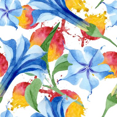 Mavi brugmansia çiçek botanik çiçekleri. Suluboya arka plan illüstrasyon seti. Kesintisiz arka plan deseni.