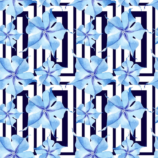 Μπλε Brugmansia floral βοτανική λουλούδια. Σύνολο εικονογράφησης φόντου. Ομαλή μοτίβο φόντου. — Φωτογραφία Αρχείου