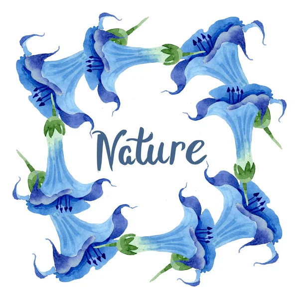 Fiori botanici floreali blu brugmansia. Acquerello sfondo illustrazione set. Quadrato ornamento bordo cornice . — Foto Stock