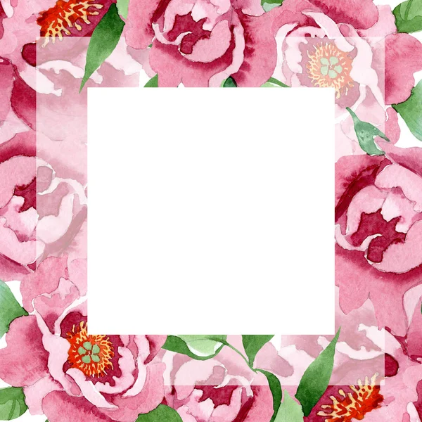 Fleurs botaniques florales pivoine rouge foncé. Ensemble d'illustration de fond aquarelle. Cadre bordure ornement carré . — Photo