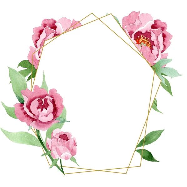 Koyu kırmızı şakayık çiçek botanik çiçekler. Suluboya arka plan illüstrasyon seti. Çerçeve kenarlık süs karesi.