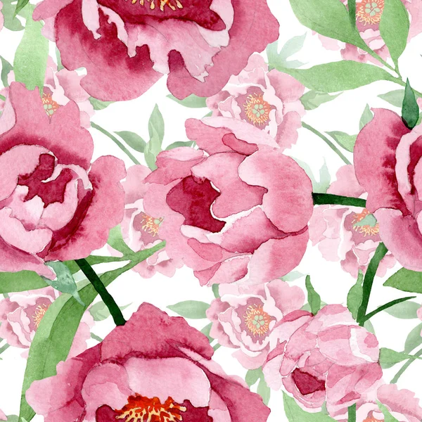 Dark red peony floral botanical flowers. Watercolor background illustration set. Seamless background pattern. — Stock Photo, Image