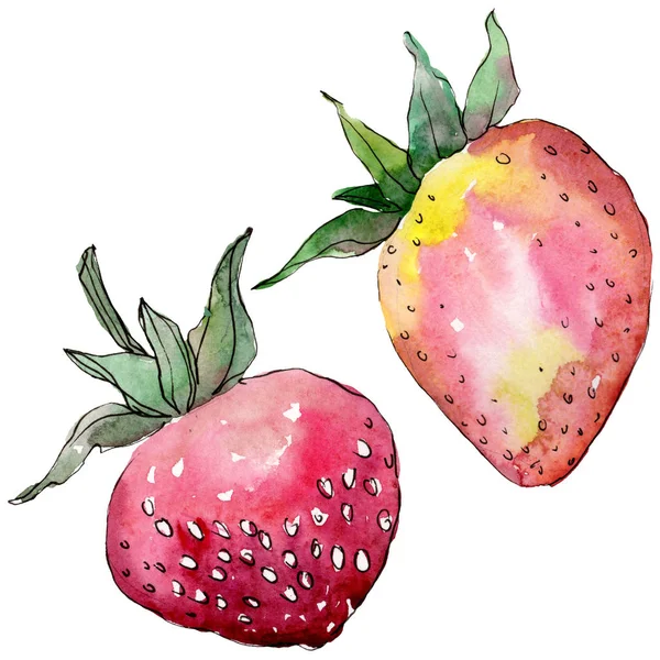 수채화 스타일의 딸기 건강 식품이 고립되어 있습니다. 수채화 배경 세트입니다. 절연 베리 일러스트 요소. — 스톡 사진