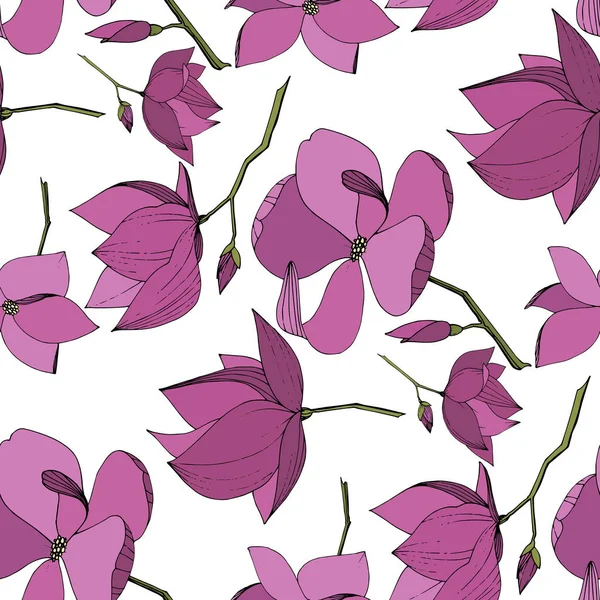 Vector Magnolia flores botánicas florales. Arte de tinta grabada púrpura. Patrón de fondo sin costuras . — Vector de stock