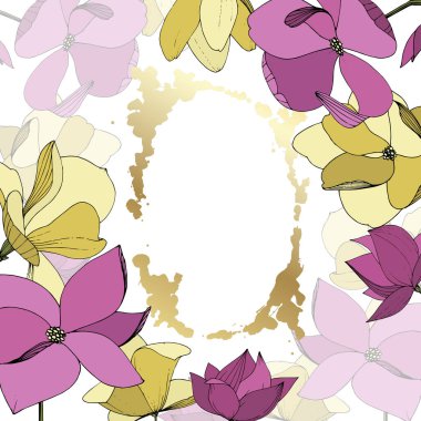 Vektör Magnolia çiçek botanik çiçekler. Mor ve sarı oyma mürekkep sanatı. Çerçeve kenarlık süs karesi.