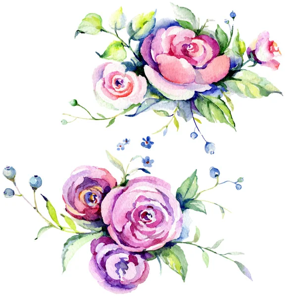 Ramo de rosas rosas flores botánicas lorales. Conjunto de fondo acuarela. Ramos aislados elemento de ilustración . — Foto de Stock