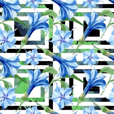 Mavi brugmansia çiçek botanik çiçekleri. Suluboya arka plan illüstrasyon seti. Kesintisiz arka plan deseni.