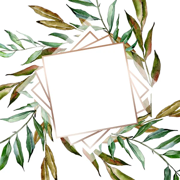 Zielone gałęzie wierzby. Akwarela zestaw ilustracji tła. Obramowanie ramy ornament kwadrat. — Zdjęcie stockowe
