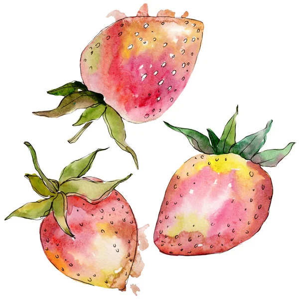 Strawberry hälsosam mat i en akvarell stil isolerad. Akvarell bakgrunds uppsättning. Isolerad bär illustration element. — Stockfoto