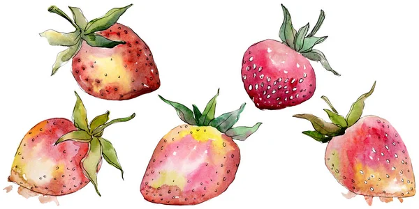 Fraise alimentation saine dans un style aquarelle isolé. Ensemble de fond aquarelle. Élément d'illustration de baies isolé . — Photo