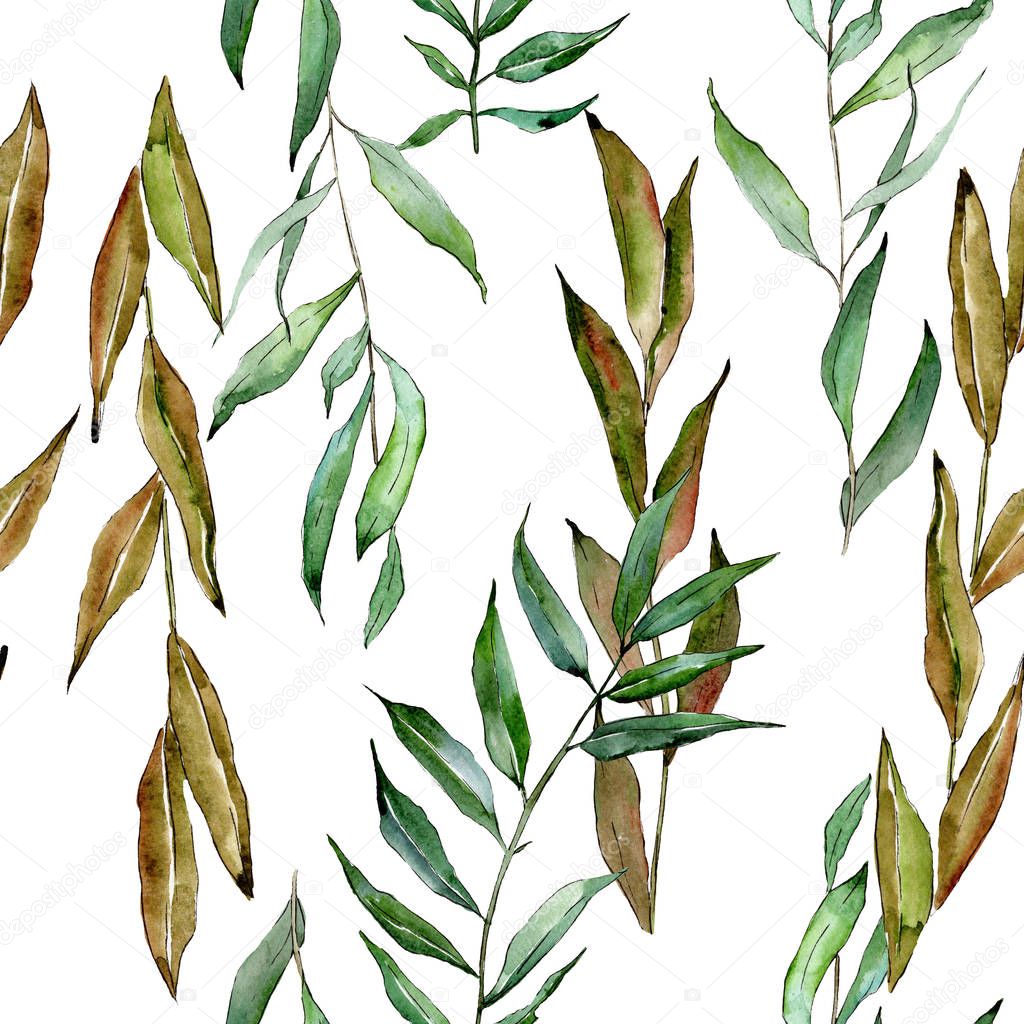 Green willow branches. Watercolor background illustration set. Seamless background pattern.