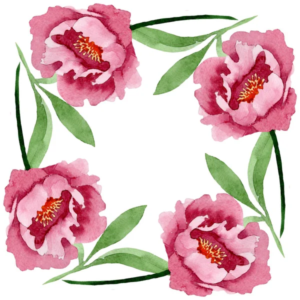 Peonía roja oscura flores botánicas florales. Conjunto de ilustración de fondo acuarela. Marco borde ornamento cuadrado . —  Fotos de Stock