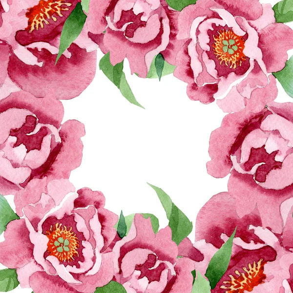 Fleurs botaniques florales pivoine rouge foncé. Ensemble d'illustration de fond aquarelle. Cadre bordure ornement carré . — Photo