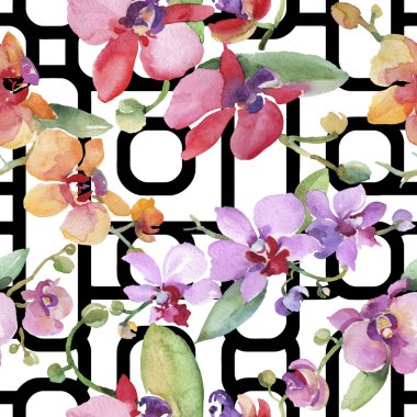Orkide buketleri çiçek botanik çiçekler. Suluboya arka plan illüstrasyon seti. Kesintisiz arka plan deseni.