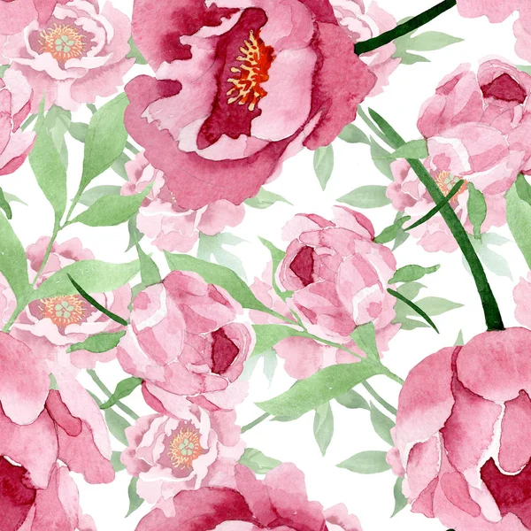 Fleurs botaniques florales pivoine rouge foncé. Ensemble d'illustration de fond aquarelle. Modèle de fond sans couture . — Photo