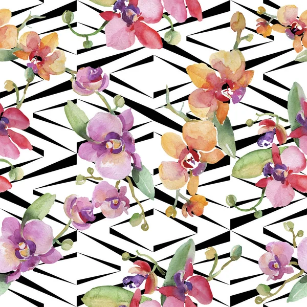 Orkide buketleri çiçek botanik çiçekler. Suluboya arka plan illüstrasyon seti. Kesintisiz arka plan deseni. — Stok fotoğraf