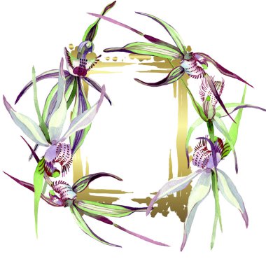 Vahşi orkide çiçekli botanik çiçekleri. Suluboya arkaplan çizimi. Çerçeve kenar süsü kare.