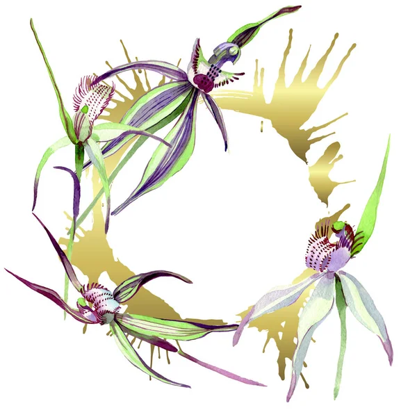 Wilde orchidee bloem botanische bloemen. Aquarel achtergrond illustratie set. Frame rand ornament vierkant. — Stockfoto