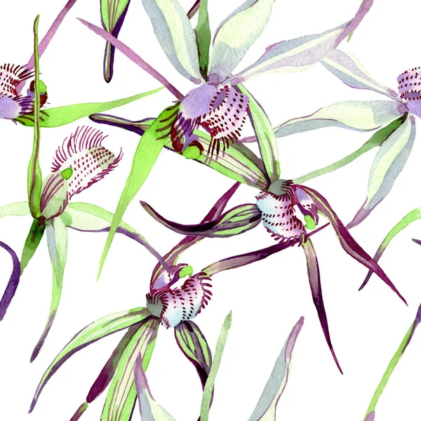 Dzikie orchidee kwiatowe kwiaty botaniczne. Zestaw ilustracji tła akwareli. Płynny wzór tła. — Zdjęcie stockowe