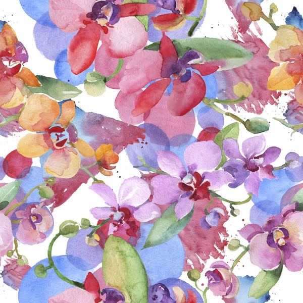 Bouquets d'orchidées fleurs botaniques florales. Ensemble d'illustration de fond aquarelle. Modèle de fond sans couture . — Photo